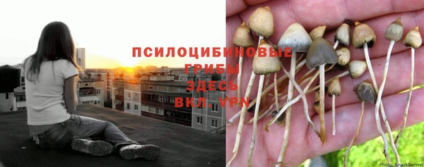 сатива Лагань