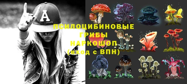 сатива Лагань