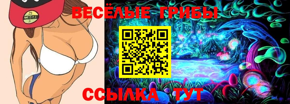 купить закладку  Псилоцибиновые грибы ЛСД  Вход с VPN  Екатеринбург  Псилоцибиновые грибы прущие грибы 